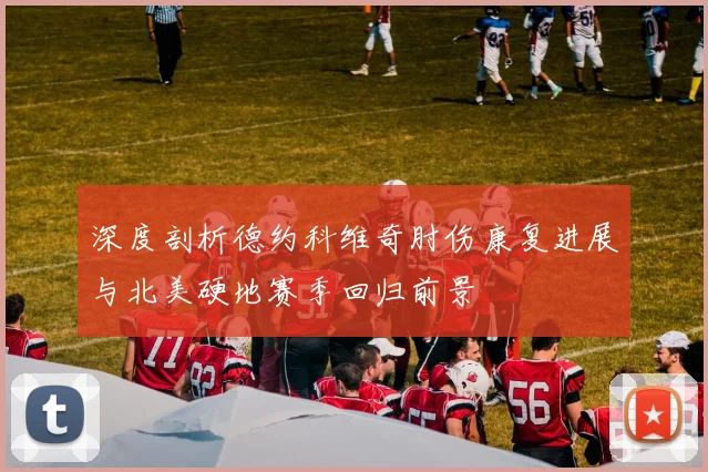 深度剖析德约科维奇肘伤康复进展与北美硬地赛季回归前景