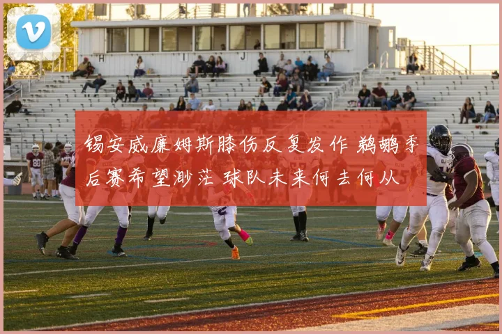 锡安威廉姆斯膝伤反复发作 鹈鹕季后赛希望渺茫 球队未来何去何从