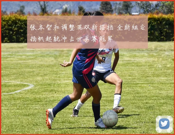 张本智和调整混双新搭档 全新组合扬帆起航冲击世乒赛冠军