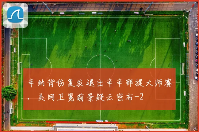 辛纳背伤复发退出辛辛那提大师赛,美网卫冕前景疑云密布